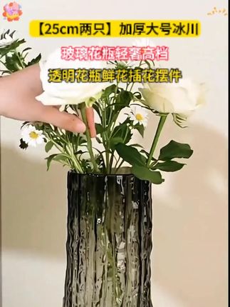 【25cm两只】加厚大号冰川玻璃花瓶轻奢高档透明花瓶鲜花插花摆件#玻璃花瓶 #好物推荐🔥