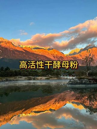 蓬松暄软的馒头,还原老面味道#老面味 #酵母粉 #馒头#在抖音入手的好东西 #无限回购的宝藏单品