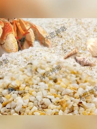 免洗海沙寄居蟹专用沙水草螃蟹底沙石乌龟铺底纯天然流沙鱼缸底砂#海沙 #底沙 #鱼缸底沙 #海沙子 #寄居蟹造景