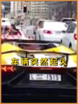监控下的惊险一幕 #行车安全 #灭火器