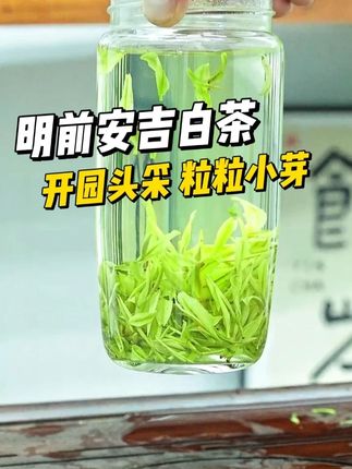 #安吉白茶 #茶香四溢 #爱喝茶的关注我 #茶叶 #绿茶