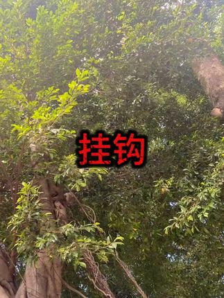 【免打孔亚克力挂钩】15个装无痕粘贴 #无痕收纳 #居家神器 #墙面挂钩