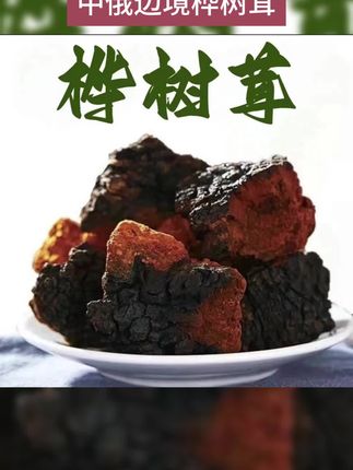 (手工精选) 中俄边境正品桦树茸营养煮水冲泡桦褐孔菌切块#桦树茸 #养生茶 #纯天然无添加 #滋补养生 #中俄边境桦树茸