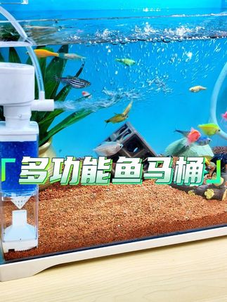 可吸便增氧造浪净水的鱼马桶,赶紧给你鱼缸也安排一个!#鱼马桶 #鱼缸过滤 #多功能鱼马桶