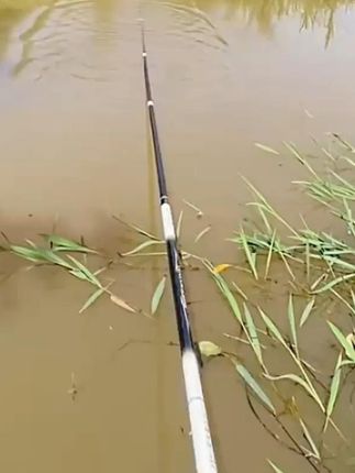 新款千川鲤汐涧鱼竿台钓竿超轻超硬19调6H8H鲢鳙黑坑竿综合 #鱼竿 #台钓竿 #渔具用品