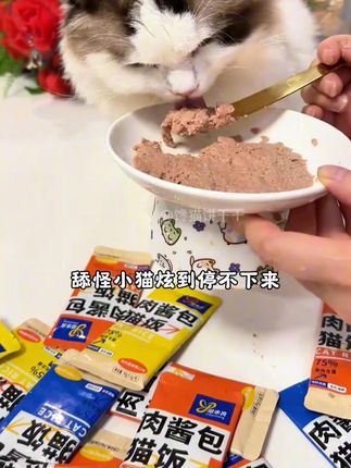 我都不敢相信这个心9.9到手30包的猫咪餐包这し的羊毛是真的!停不下来 #宠物食品 #宠物食品