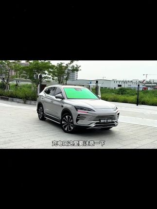比亚迪海豚海鸥海豹秦汉宋元plus秦Ldmi汉L翻盖式方便充电防雨罩