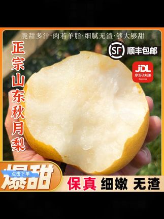 【顺丰/京东】新鲜采摘头茬山东秋月梨冰糖梨产地直销新鲜水果#山东秋月梨 #新鲜水果 #头茬梨 #冰糖梨 #产地直销