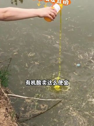 一瓶有机酸真是解了大问题了 #水产养殖 #油膜水 #油膜去除剂 #雄牧浓缩复合有机酸
