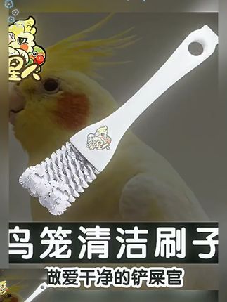 鸟笼清洁刷子清洗粪便铲子多功能鹦鹉笼神器清理笼子用品#养鸟必备用品全套 #鸟笼清洁刷 #清洗刷子 #鸟笼鸟具 #铲子