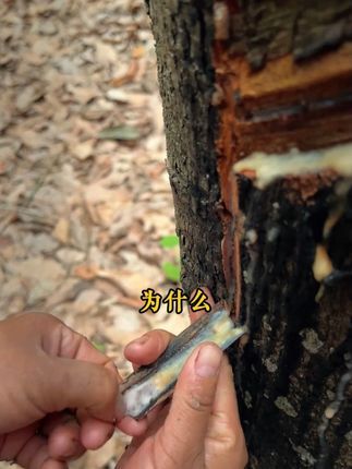 人一旦读过《人生九练》,你的人生就像开了上帝视角!#谋略思维 #思维格局 #认知 #智慧