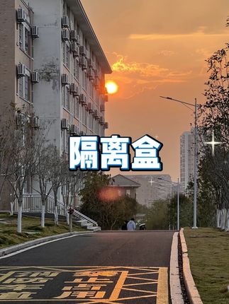 鱼缸隔离盒 #孔雀鱼繁殖 #幼鱼孵化 #产房设计