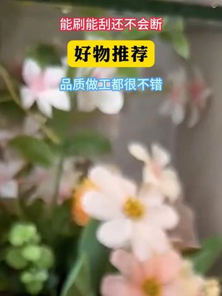 这个#地刷 太好用啦,能刷能刮还不会断#地刷刮水两用 刷头够大,杆子够长,很结实#好物推荐