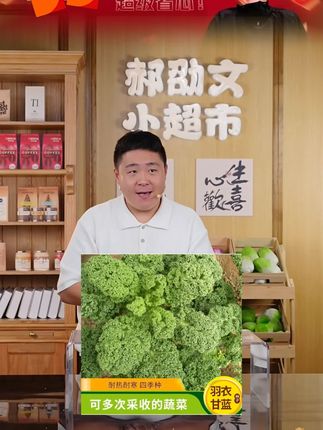 郝邵文推荐【羽衣甘蓝种子】家庭小院阳台抗寒耐冻四季盆栽地栽可食用#盆栽 #司机盆栽 #蔬菜 #种植 #郝邵文
