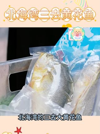 【北海湾】 三去黄花鱼 #北海湾三去黄花鱼 #黄花鱼 #清蒸黄花鱼 #红烧黄花鱼 #好物推荐 @DOU+小助手 @DOU+上热门