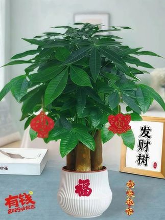 文化人的语言艺术有多牛,刘震云老师每一问都是灵魂之问! #用心挑出来的西瓜不一样 #新鲜采摘 #新鲜应季水果 #优质农产品 #自家种植 文化人的语言艺术有多牛,仅凭一句话狂拉2亿播放、刘震云老师每一问都是灵魂之问!。#刘震云 #语言艺术 #文化差异