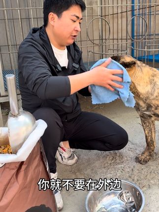 40斤一大包,价格实惠多狗家庭试试看#源头工厂 #狗粮推荐