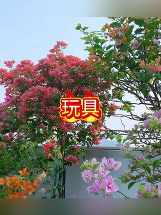 MC我的世界磁力方块玩具拼装磁吸积木拼搭创意百变立体超大颗粒#玩具 #积木玩具 #积木 #玩具推荐 #儿童玩具