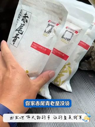 又到了用赤尾青的季节,不管是钓鲫鱼还是鲤鱼,加了赤尾青鱼都更爱吃#赤尾青#黑坑钓鱼
