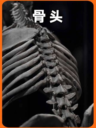 如果你30分钟不眨眼会怎样#科普