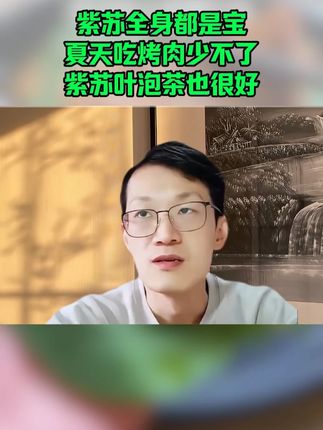 #紫苏 #紫苏饮 #紫苏叶 #韩明辰 #好物推荐🔥