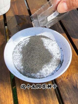 家里有空花盆的,一定要种上这个耐旱#太阳花,夏季高温照样开 越晒花越疯,推荐您能也种上一些#太阳花 #花卉绿植
