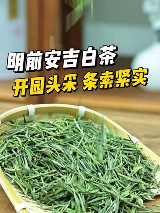 #安吉白茶 #茶香四溢 #爱喝茶的关注我 #茶叶 #绿茶
