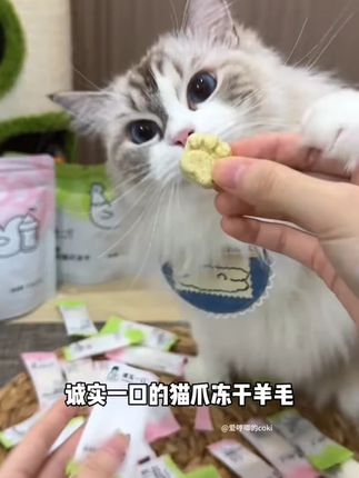 诚实一口猫爪冻干猫零食鸡肉羊奶猫草排毛营养发腮冻干猫咪零食#猫零食 #猫冻干 #宠物营养 #发腮零食 #诚实一口