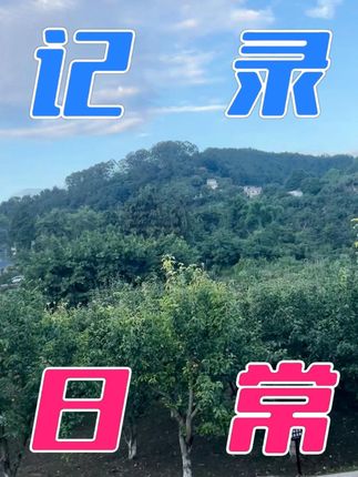 15 一字夹扭扭夹 #热点小助手 #散散步吹吹风透透气