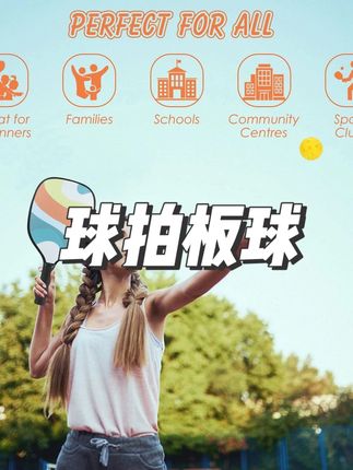 pickleball球球拍板球拍儿童成人玻璃纤维木质亲子室外 #球拍板球 #球拍 #球拍测评 #球拍推荐 #球拍颜值