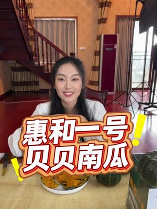 贝贝南瓜要选高品质的惠和一号贝贝南瓜 #惠和一号贝贝南瓜 #贝贝南瓜