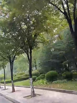 钢丝洗碗布厨房专用银丝棉纱洗碗巾双层加厚不易沾油抹布刷碗神器#洗碗巾#洗碗布#双层洗碗巾#加厚洗碗巾#银丝洗碗巾