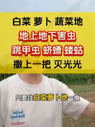 3袋装【每袋500克】撒施型清菌颗粒用于瓜果蔬菜农作物