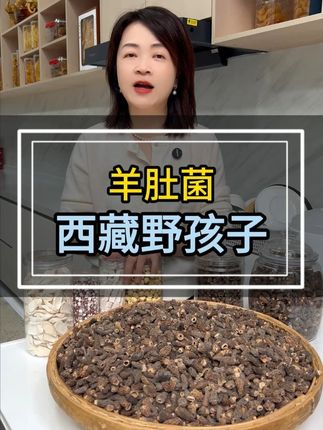 提力力首选羊肚菌啦, 羊肚菌煲汤又香又鲜,小朋友都多喝两碗啊!#羊肚菌 #西藏羊肚菌