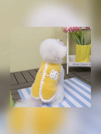 一场秋雨一场凉,这么好看的小衣服给你家宝贝安排了吗?你看俺家小丫头穿上多好看吖,给个小仙女似的#家有爱宠  #我的毛孩子