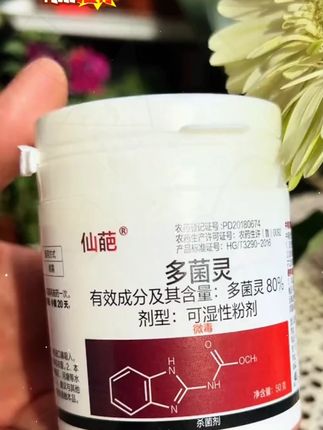 #多菌灵 #多菌灵的使用方法 #多菌灵土壤消毒方法 #多菌灵杀菌剂 #多菌灵农药