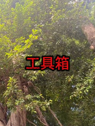 【工具箱】家用维修收纳  #工具收纳  #家用工具箱  #五金配件