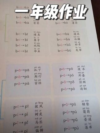 9月份上一年级,让孩子每天练习10分钟拼读,打好拼音基础#幼小衔接 #拼音拼读 #一年级