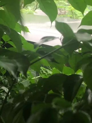 #风景如画 #风景优美空气清新