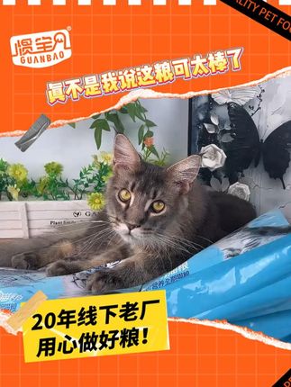真不是我说这粮可太棒了 #猫粮 #猫粮推荐 #酥酥脆脆 #新手养猫