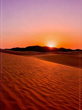 #奶 深媛牧场1000克装初乳高钙牛奶营养粉适用全家补充营养#牛奶  #牛奶粉  #新西兰进口奶粉  #牛初乳奶粉