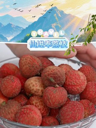 【荔皇】仙进奉荔枝 荔皇仙进奉荔枝#荔枝 #仙进奉荔枝 #荔皇荔枝 #新鲜荔枝 #好物推荐 @DOU+上热门 @DOU+小助手