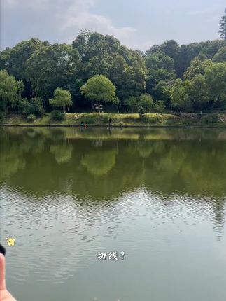 #好物推荐 #精选好物 每天好物分享#好物推荐 小达人#经济实惠