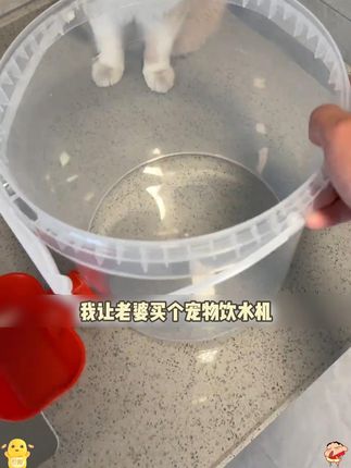 天气一热,每天要给猫咪倒水,懒得搞了,这个大容量自动续水的就蛮好用,还便宜,放假过节几天不在家也够喝#萌宠好物 #宠物饮水机 #懒人养宠 #新手养猫 Z
