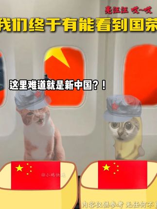 我们终于有能看到国荣昌盛的这一天 #远方可有乔木 #猫meme小剧场 #烈士遗骸归国 #国庆节快乐 #伟大祖国繁荣富强