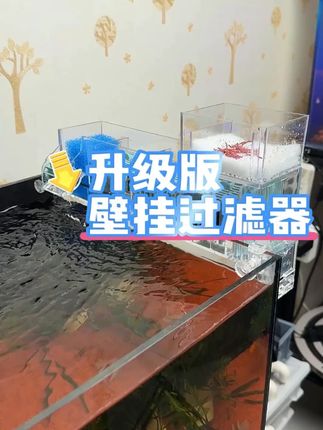 鱼缸过滤器净水循环三合一水泵滴流盒增氧过滤制氧 #鱼缸过滤器  #鱼缸过滤器推荐  #过滤器  #过滤器推荐  #水族器材