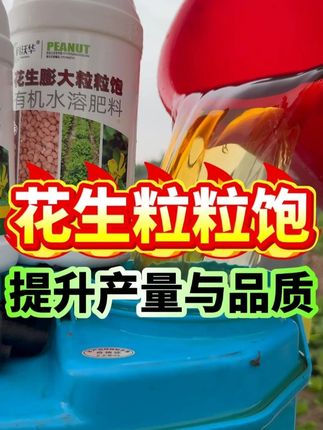 花生粒粒饱,提升产量与品质#花生种植 #花生管理 #花生高产 #祥禾农资 #花生膨大粒粒饱