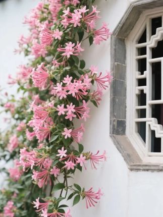 #许妍同款 #气质穿搭 #又美又飒 #走路带风