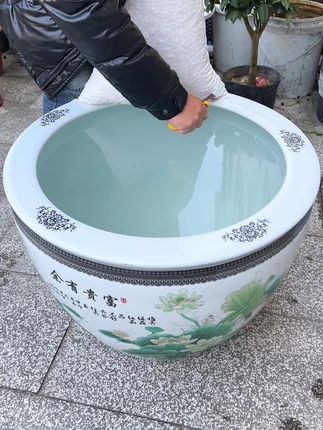 #陶粒 想在家里干干净净的养花,可以铺上, 即美观又保水保肥 #铜钱草 #多肉植物 #彩色陶粒 #花卉绿植 #养花小知识