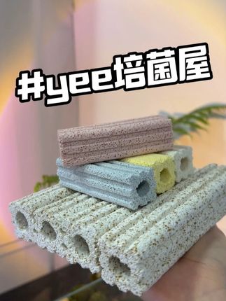 一块多一根的细菌屋还不试试吗?! #水族 #养鱼 #养鱼日记 #鱼缸 #鱼缸里的大自然